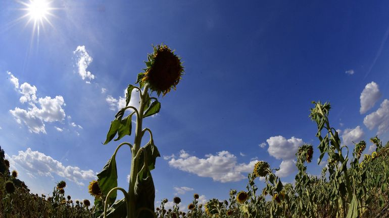 Peu de pluies à l’horizon : la sécheresse perdure avec des conséquences sur les captages d’eau potable et les cours d’eau
