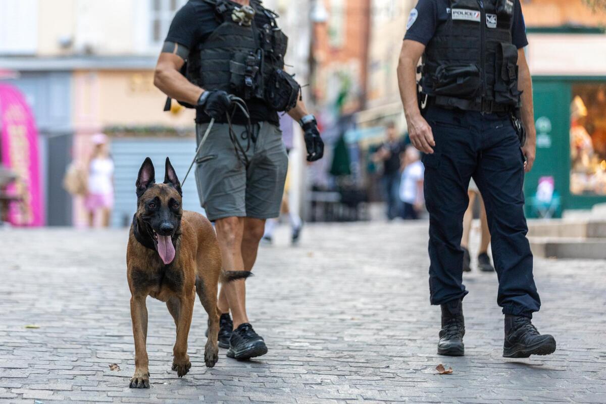 Pour muscler sa police municipale, la Ville de Menton va se doter d’une brigade cynophile