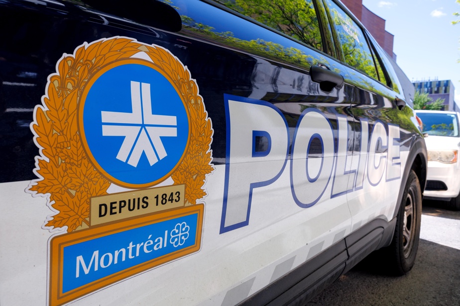 Un quadragénaire tabassé dans un parc de Montréal