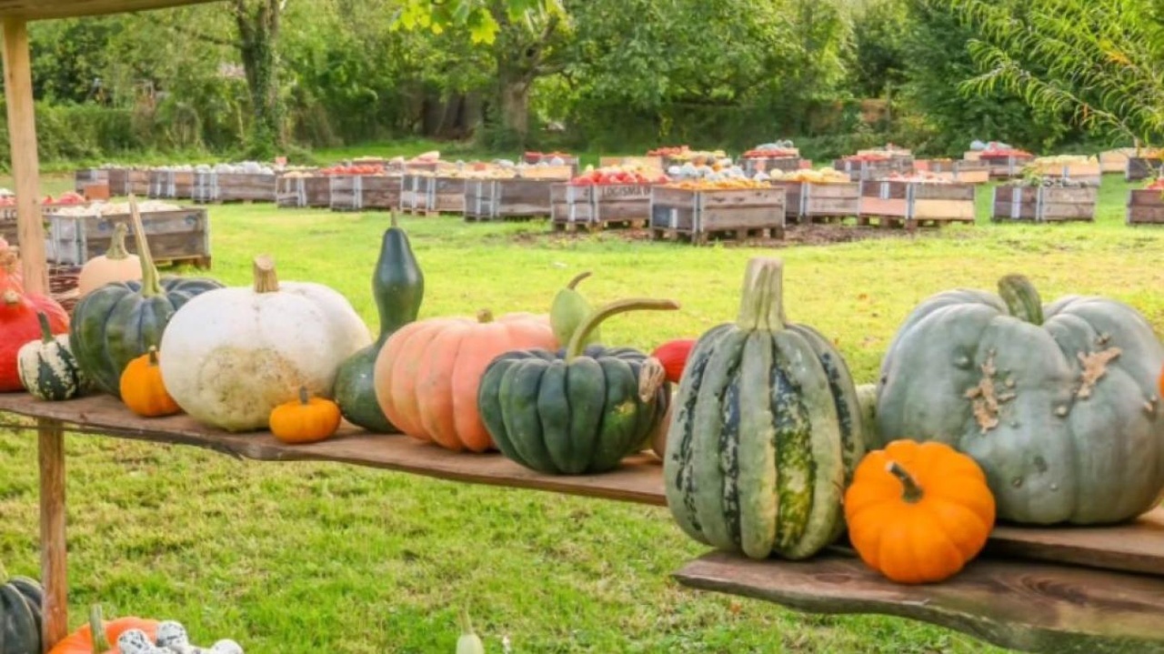 La Fête du Potiron est de retour dès septembre dans le Brabant wallon