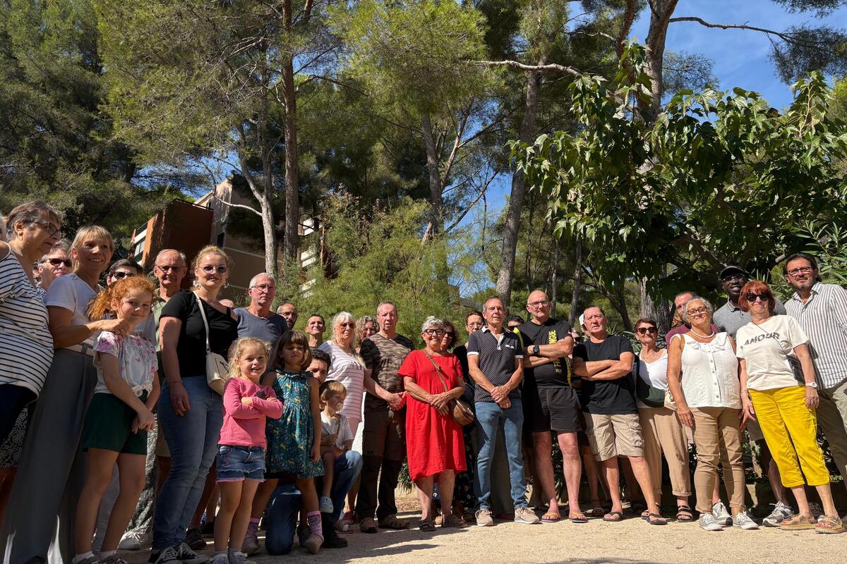 « L’abattage massif d’arbres est déconnecté de la réalité » : dans une résidence à La Seyne, les habitants contestent la décision des autorités