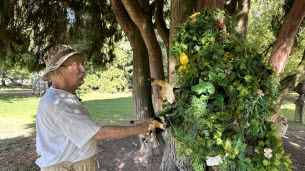 Insolite. Il se cache, attend et surprend les habitants d'Annecy : mais qui est cet homme arbre dont les vidéos cartonnent sur Internet ?