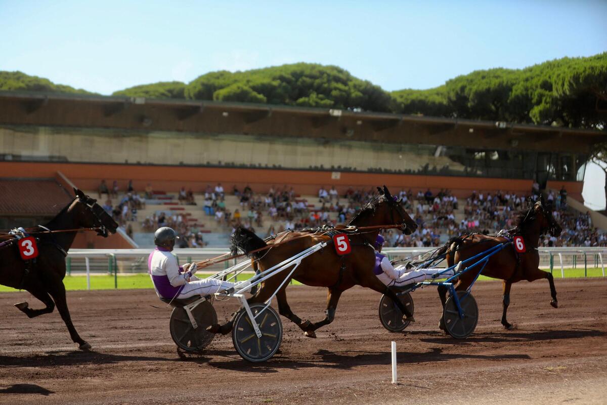 Sept courses au menu de la réunion hippique de ce dimanche 6 septembre sur l’hippodrome de Hyères