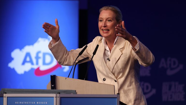 Elections régionales en Allemagne : le parti d’extrême droite AfD en forte progression à Berlin et en Mecklembourg-Poméranie