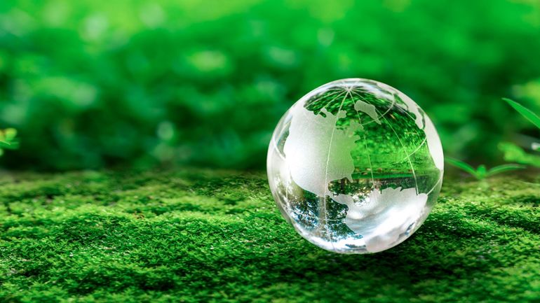 "Si le combat climatique est mort, tous les autres le seront aussi" : mobilisation à Bruxelles pour clamer l’urgence climatique