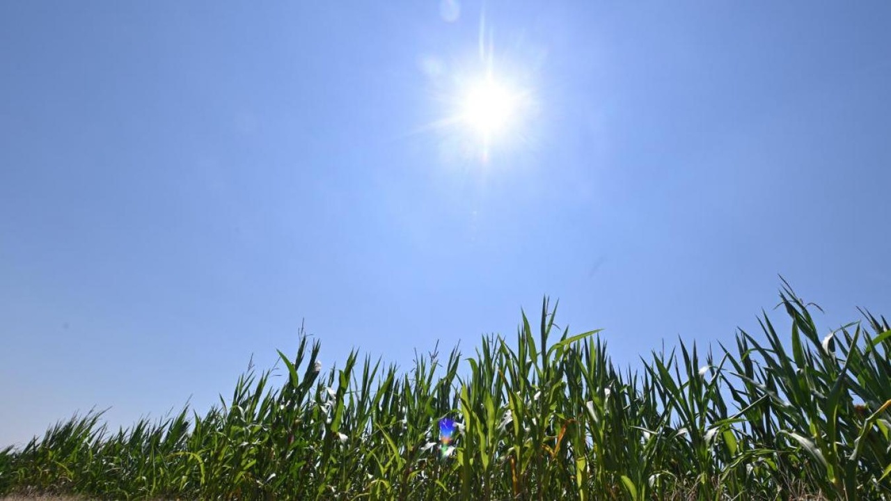 Du soleil et jusqu’à 29°C lundi : voici les prévisions avant un changement radical de météo