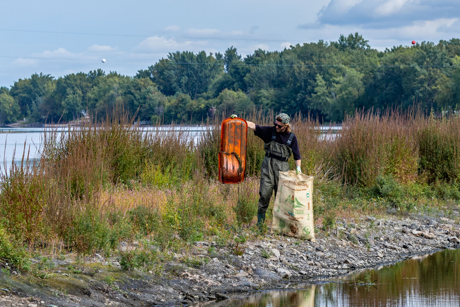 Pollution plastique | Grande opération de nettoyage pour une petite île