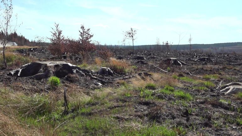 Après les incendies, l’air des Hautes Fagnes est-il redevenu respirable ?