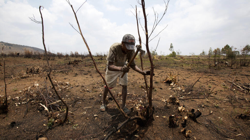 Madagascar: des ONG de défense de l'environnement tirent la sonnette d'alarme face aux incendies et aux trafics