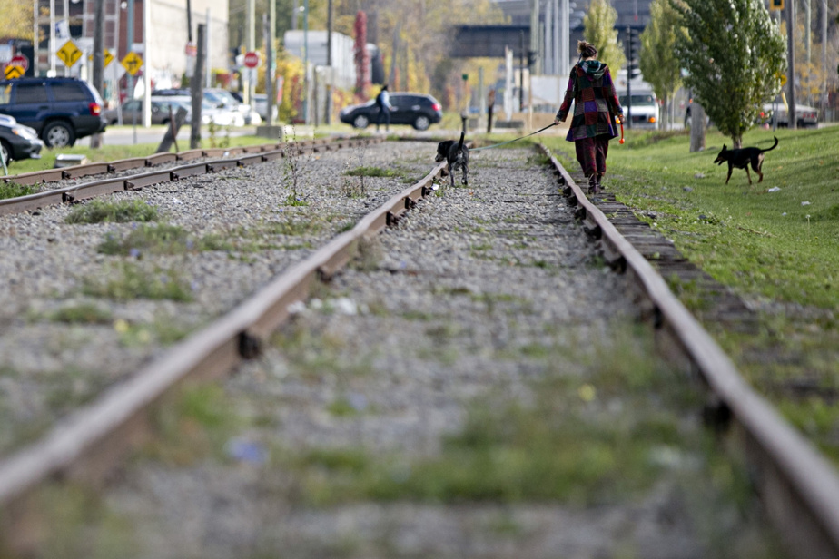 Tramway de Lachine | Quatre mairesses d’arrondissement veulent ressusciter le projet