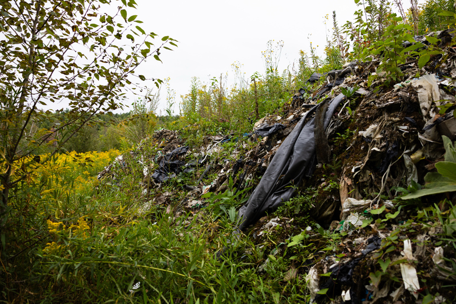 Dépotoirs illégaux abandonnés | Pollueurs non-payeurs