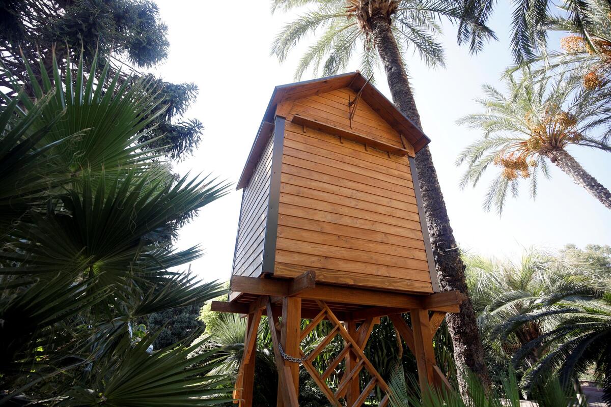 « On ne les tue pas, on évite les naissances » : comment Monaco régule la population de pigeons en ville
