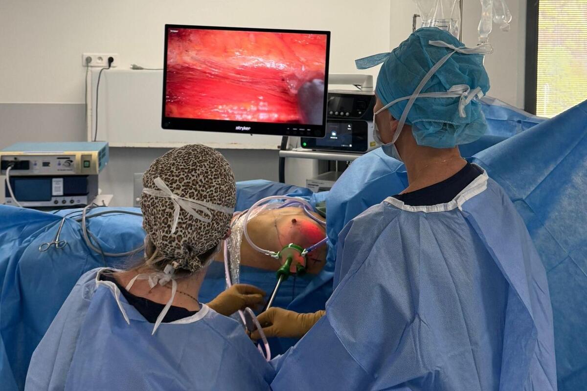 Cancer du sein : une première chirurgicale à Toulon, la chirurgienne sénologue explique le procédé