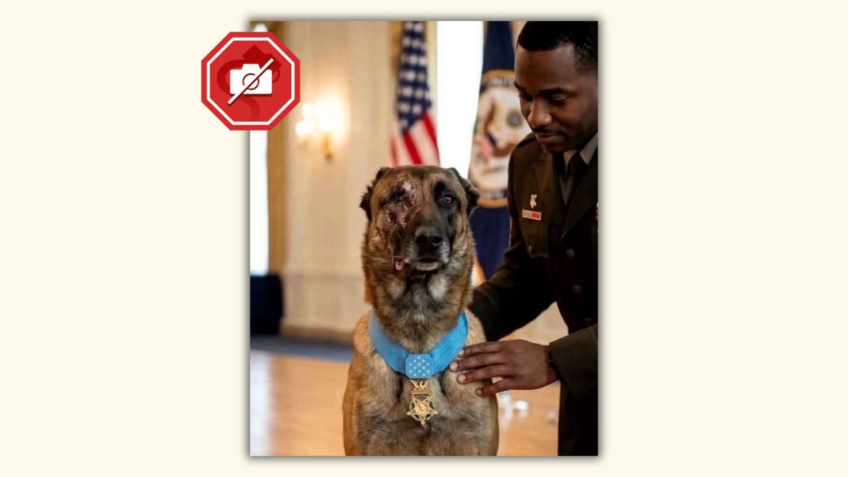 Story about 'K9 Valor' surviving suicide bomber, saving 47 soldiers isn't what it seems
