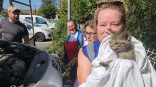 Vaucluse. Coincé dans le moteur d'une voiture sous 40 °C, un chaton sauvé in extremis : « Il fallait tout démonter pour pouvoir l’extraire »