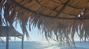 Grèce. Deux personnes âgées se disputent le même transat sur une plage : un mort