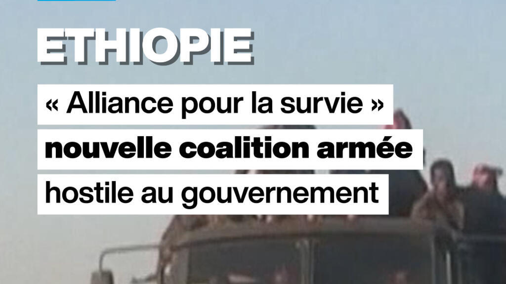 Ethiopie : « Alliance pour la survie », nouvelle coalition armée hostile au gouvernement