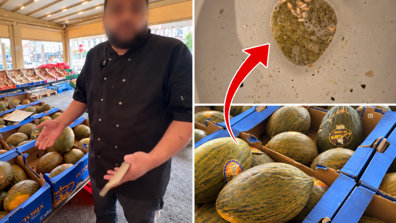 « Même si tu me descends le roi Philippe en hélicoptère, tu ne vas pas recevoir tes 8 euros » : à Koekelberg, Zakaria refuse de rembourser un melon de 3,35 kg mangé en entier… , l’AFSCA débarque ! (vi
