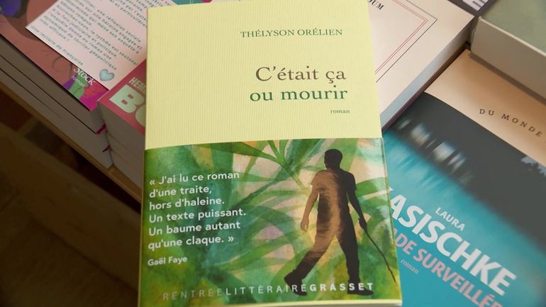Polémique Thélyson Orélien : quelle est la place de l’IA dans le secteur de l’édition ?