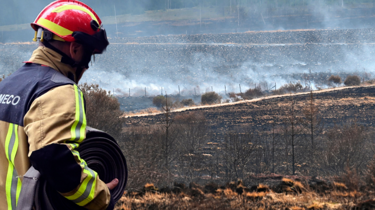 Incendies dans les Fagnes : de nouvelles reprises de feu constatées, près de 150 personnes toujours mobilisées