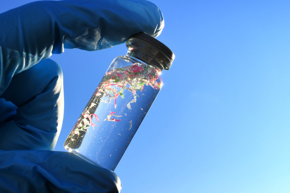 Selon une étude | Les microplastiques pourraient propager la pollution