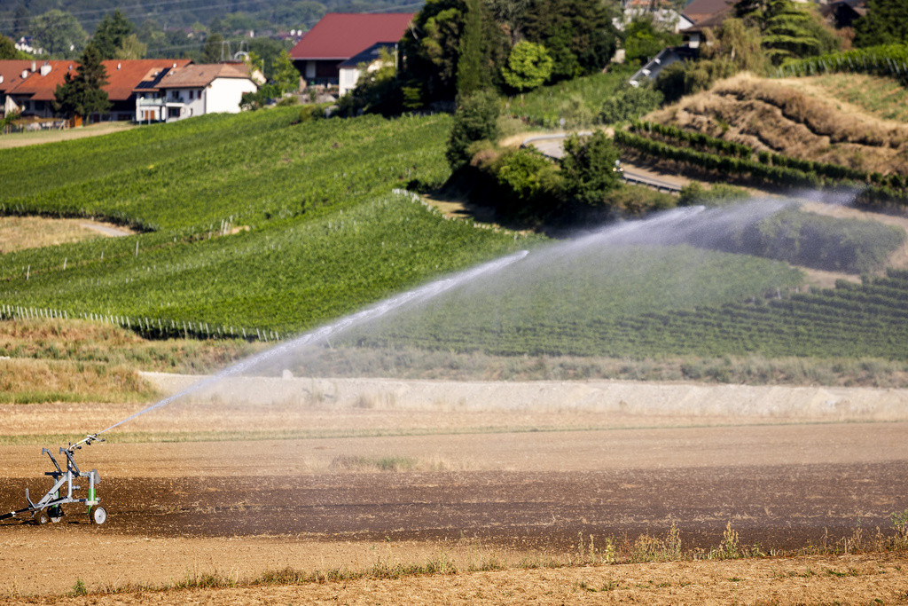 Agriculture suisse: Sécheresse et grêle causent près de 60 millions de dégâts en 2026