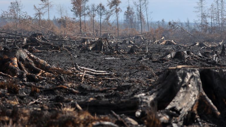 Incendie dans les Fagnes : Anne-Catherine Dalcq lance une nouvelle enquête et veut "beaucoup plus de cohérence" dans les décisions du DNF