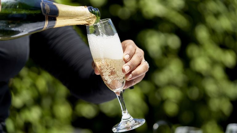 Vendange 2026 en Champagne : pourquoi certaines bouteilles pourront dépasser les 13% d’alcool
