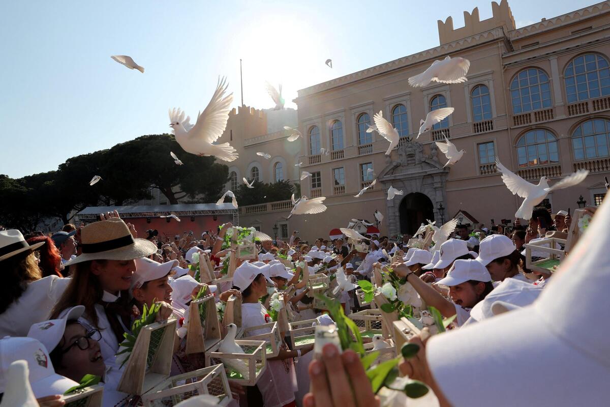 Interdiction des lâchers de colombes à Nice : « Il s’agit de pigeons voyageurs blancs » et « ils sont habitués à rentrer » prévient un spécialiste