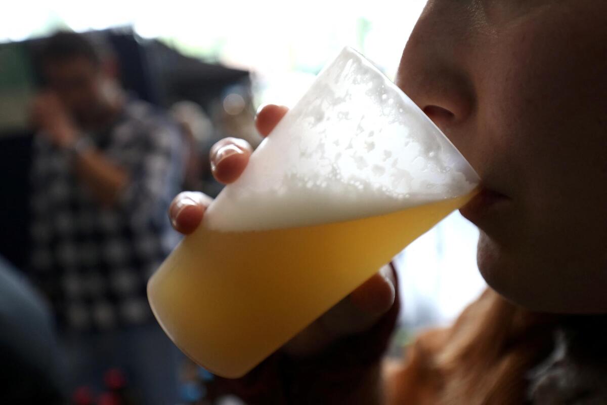 « Nous proposons trois bières exclusives à cet événement » : des milliers de personnes attendues, des animations… Voici tout ce qu’il faut savoir sur la Fête de la bière qui commence ce jeudi à Grasse