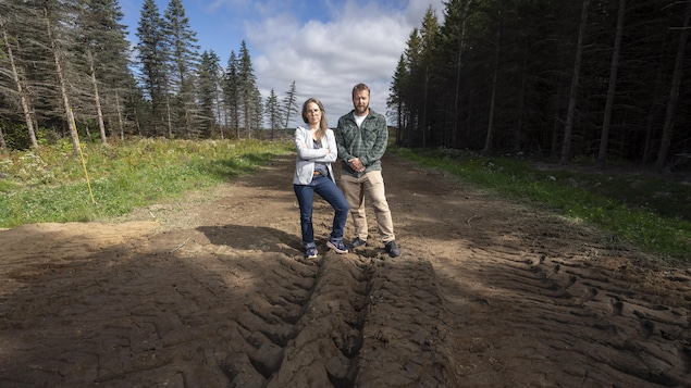 À la recherche du Québec : oui ou non aux éoliennes en Mauricie?