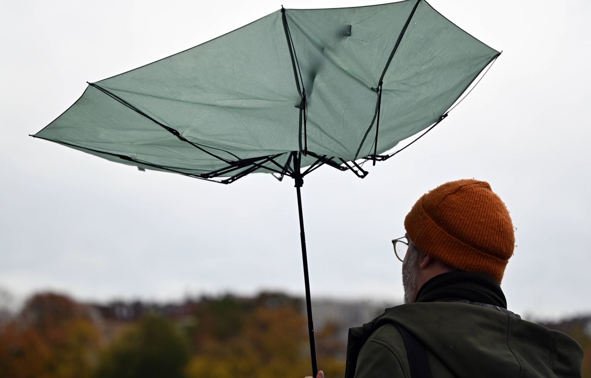 Transformer un vieux parapluie en fontaine de jardin ? Un tuto pipeau généré par IA